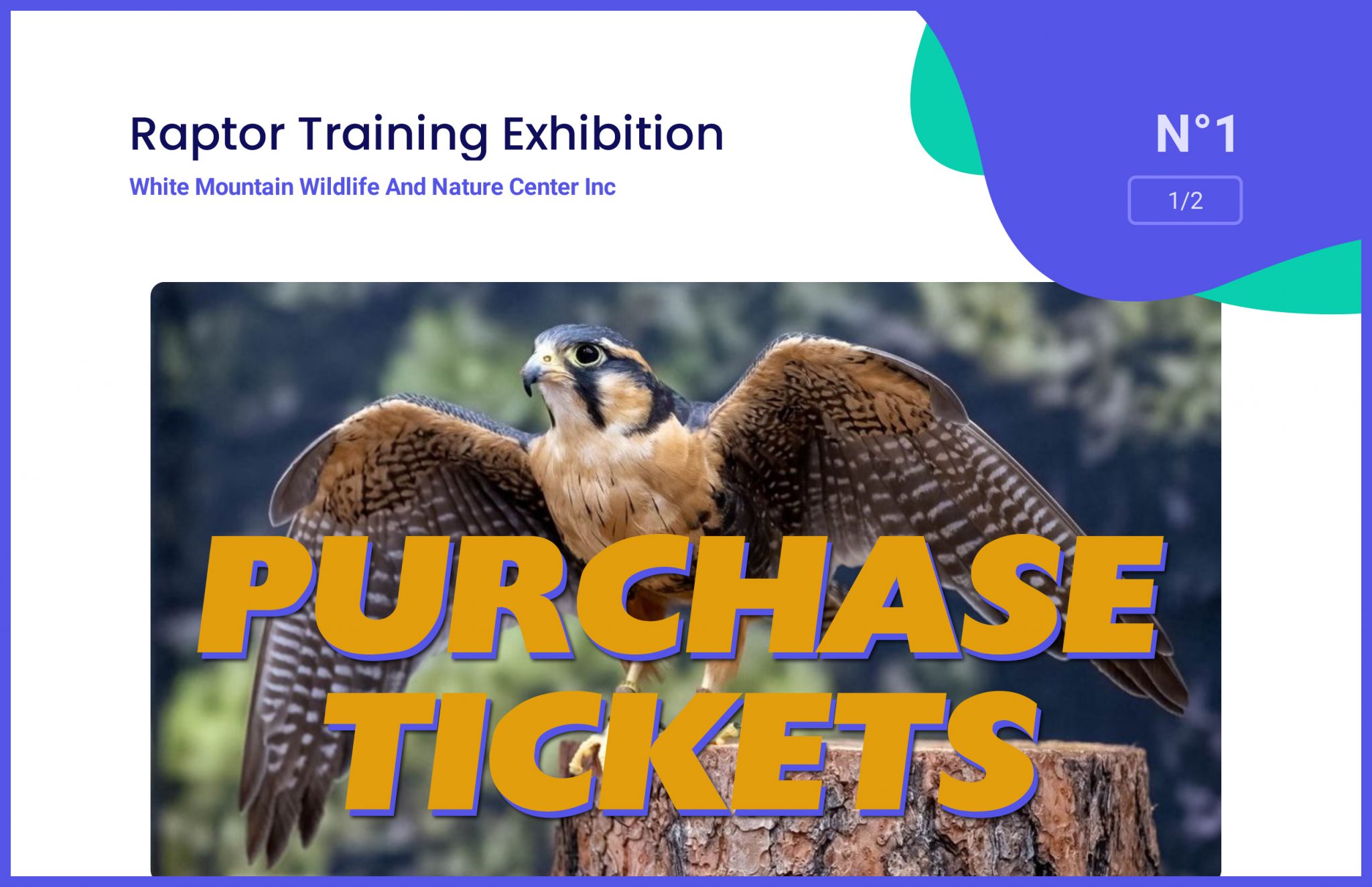 Tuscon Raptor Show Raptor Show – White Mountain Nature Center